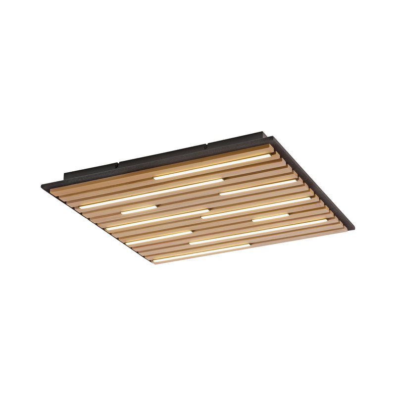 Plafoniera Paul Neuhaus Q-AKUSTIK LED Lemn
