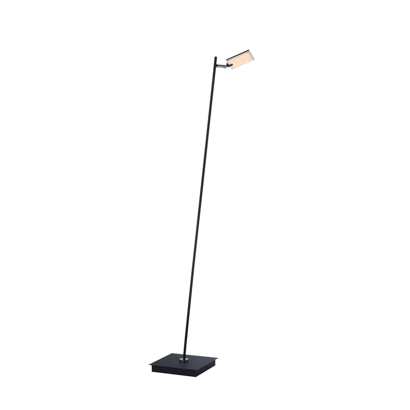 Lampadar Paul Neuhaus PURE-MIRA LED Antracit
