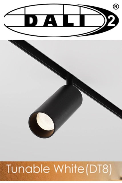 Proiector pe Sina Zuma Line MAGNETYCZNE 12xLED Negru
