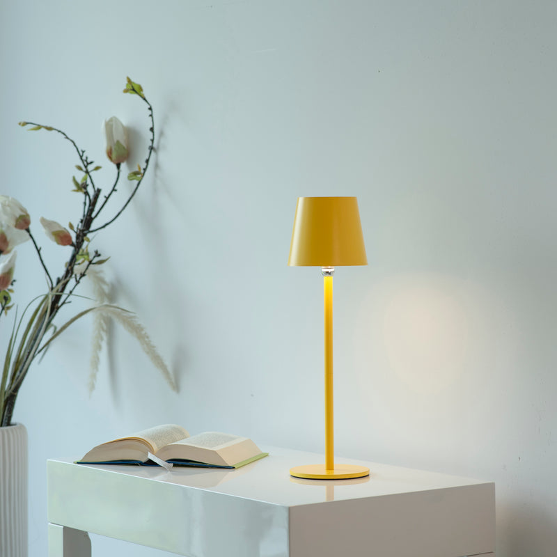 Veioza Paul Neuhaus BOTERIA LED Galben