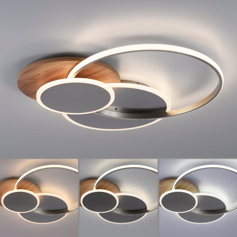 Plafoniera Paul Neuhaus PALMA LED Lemn
