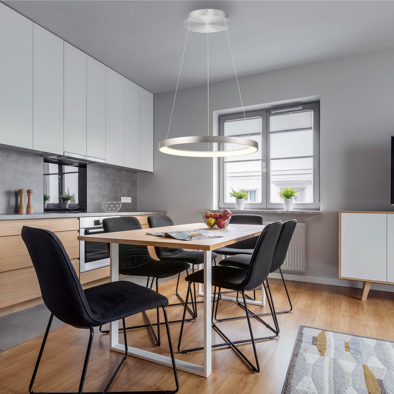 Lustra Paul Neuhaus HOOP LED Aluminiu