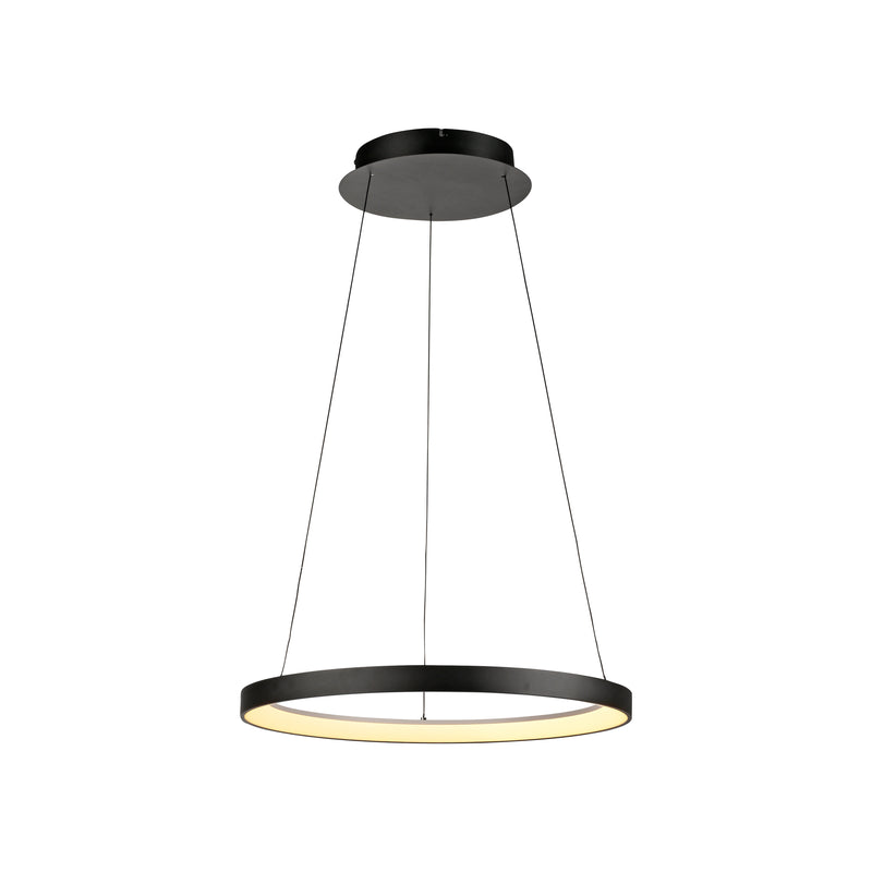 Lustra Paul Neuhaus HOOP LED Negru