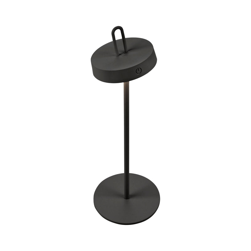 Lampa Exterior Paul Neuhaus AMAG LED Negru