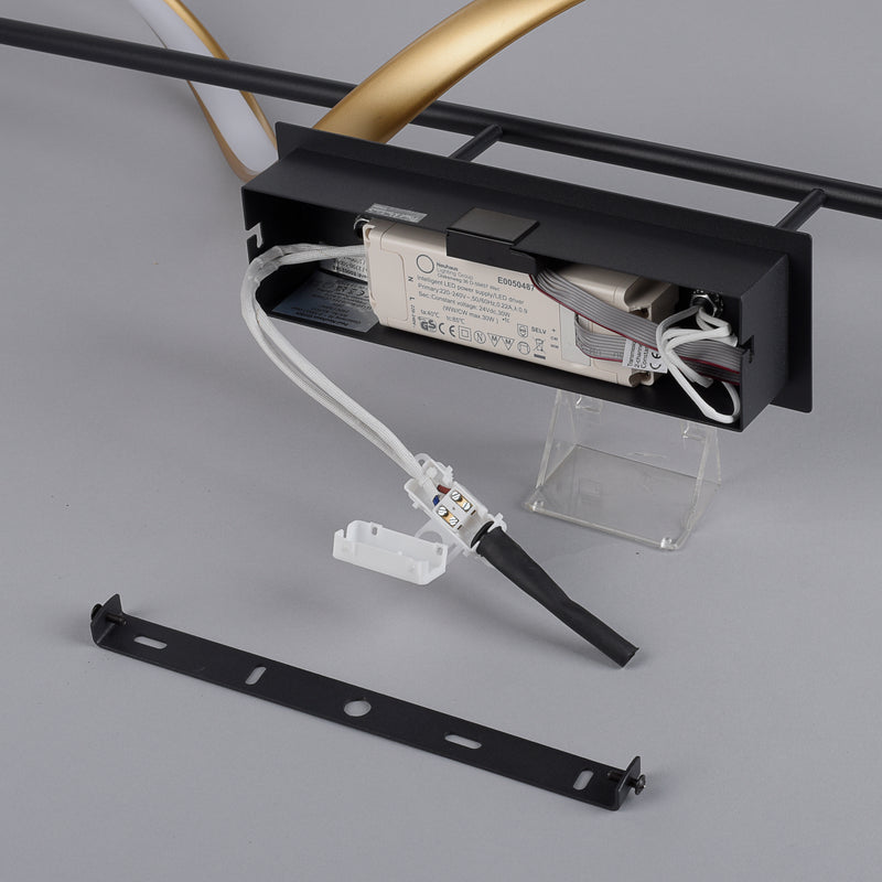 Plafoniera Paul Neuhaus Q-SWING LED Antracit