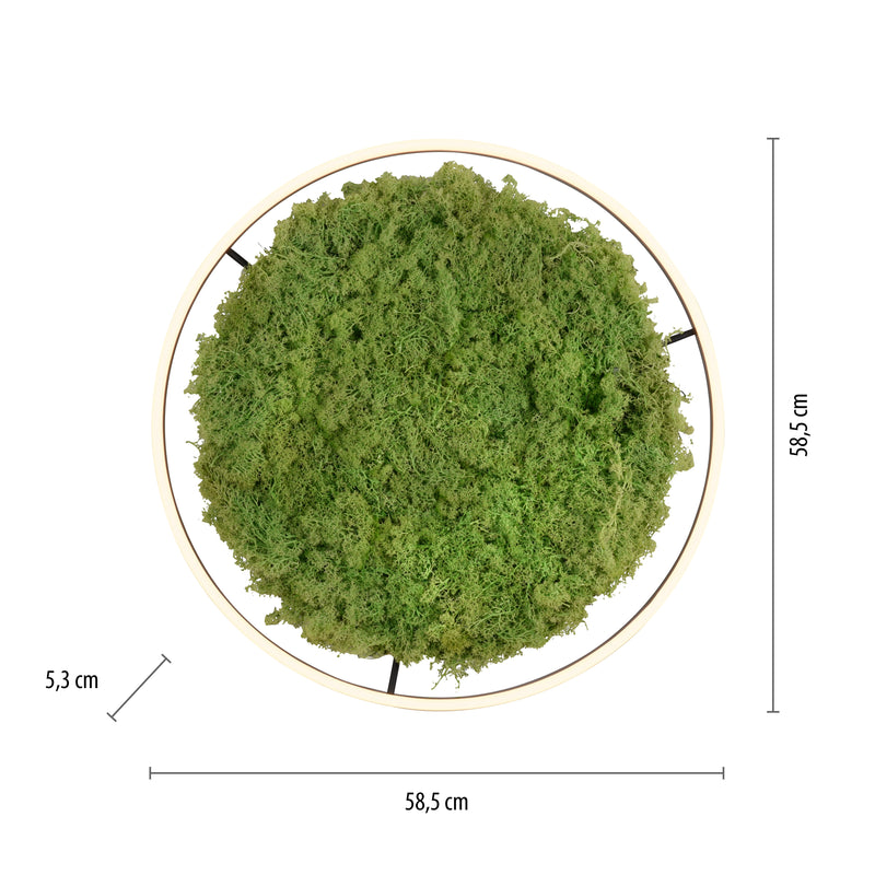 Plafoniera Zuma Line GREEN RITUS LED Muschi Natural