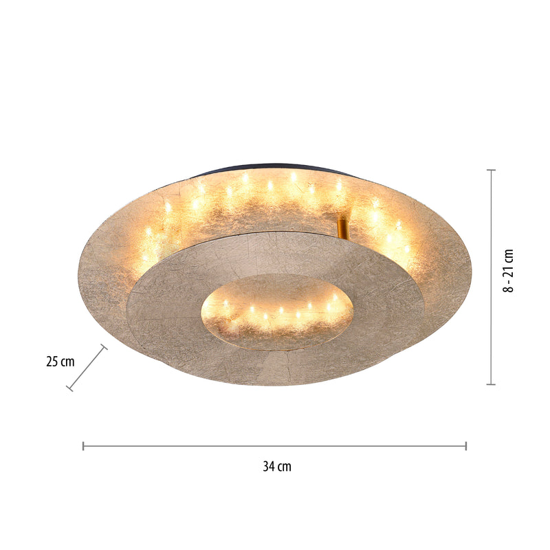 Plafoniera Paul Neuhaus NEVIS LED Auriu