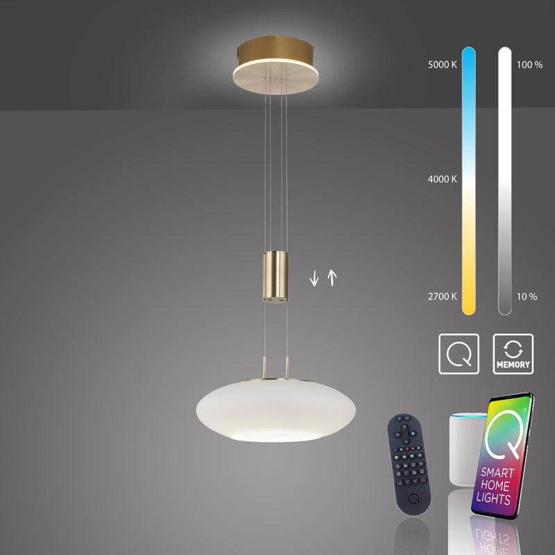 Lustra Paul Neuhaus Q-ETIENNE 2xLED Alama Mat