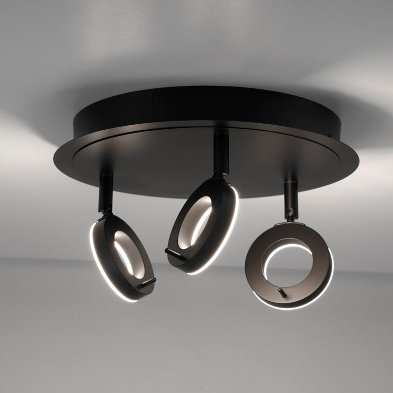 Plafoniera Paul Neuhaus SILEDA 3xLED Antracit
