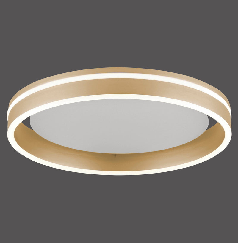 Plafoniera Paul Neuhaus Q-VITO LED Alama Mat