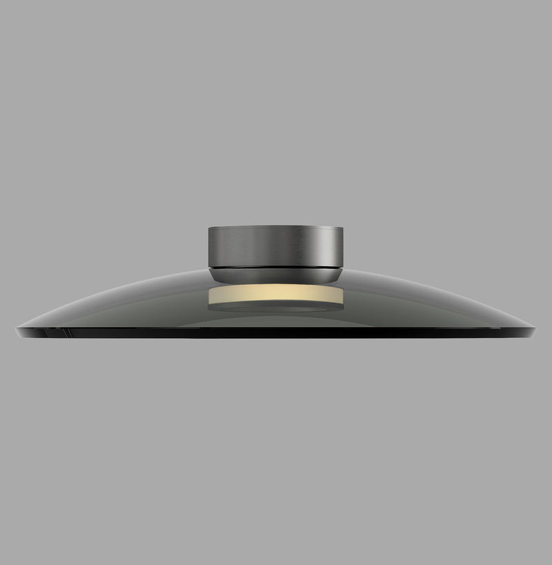 Plafoniera Paul Neuhaus PURE MOON 2xLED Gri