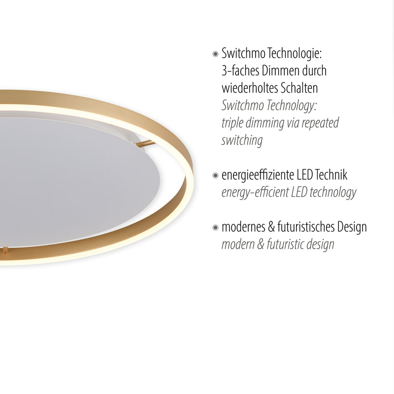 Plafoniera Paul Neuhaus RITUS LED Alama Mat
