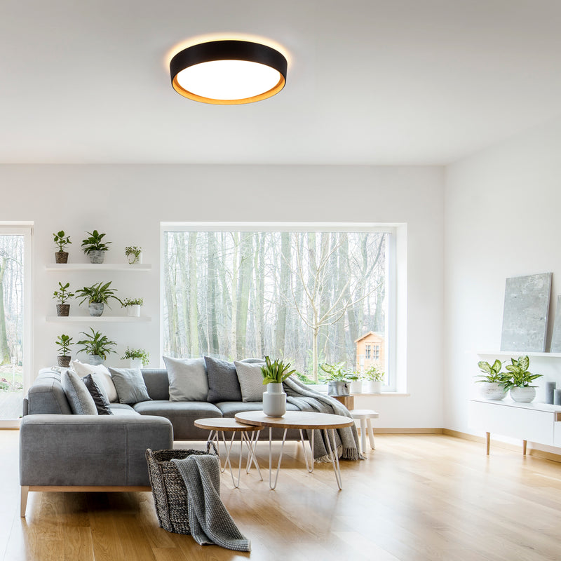 Plafoniera Paul Neuhaus EMILIA LED Negru