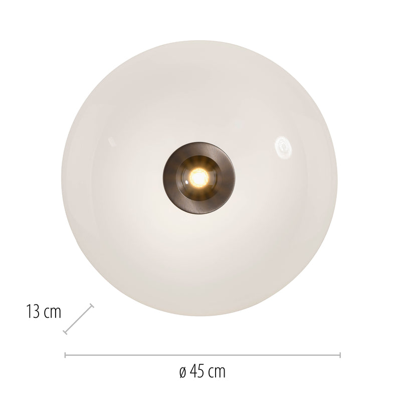 Plafoniera Paul Neuhaus PURE VITRUM 2xLED Maro Metalic
