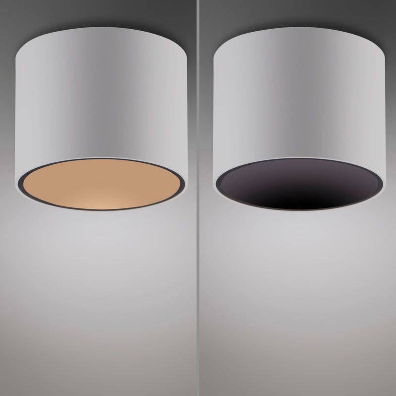 Plafoniera Paul Neuhaus PURE POINT LED Alb