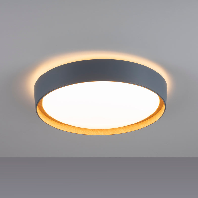 Plafoniera Paul Neuhaus EMILIA LED Gri