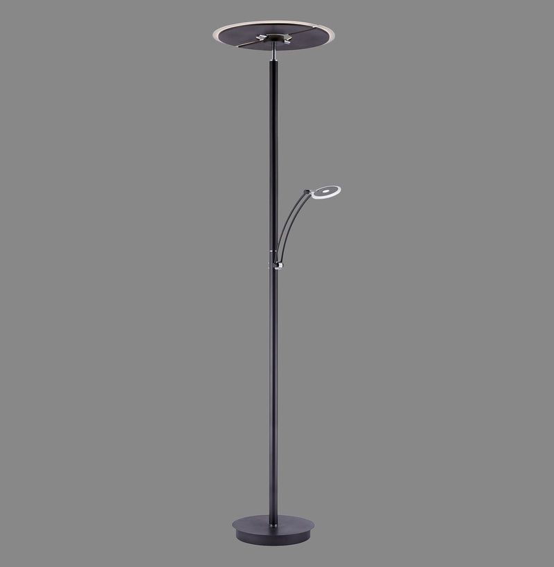 Lampadar Paul Neuhaus ARTUR LED Antracit