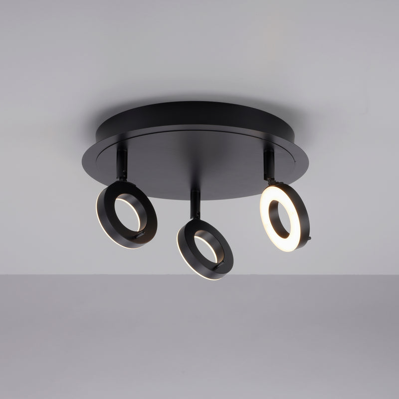 Plafoniera Paul Neuhaus SILEDA 3xLED Antracit