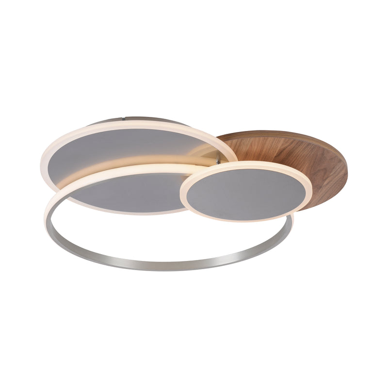 Plafoniera Paul Neuhaus PALMA LED Lemn