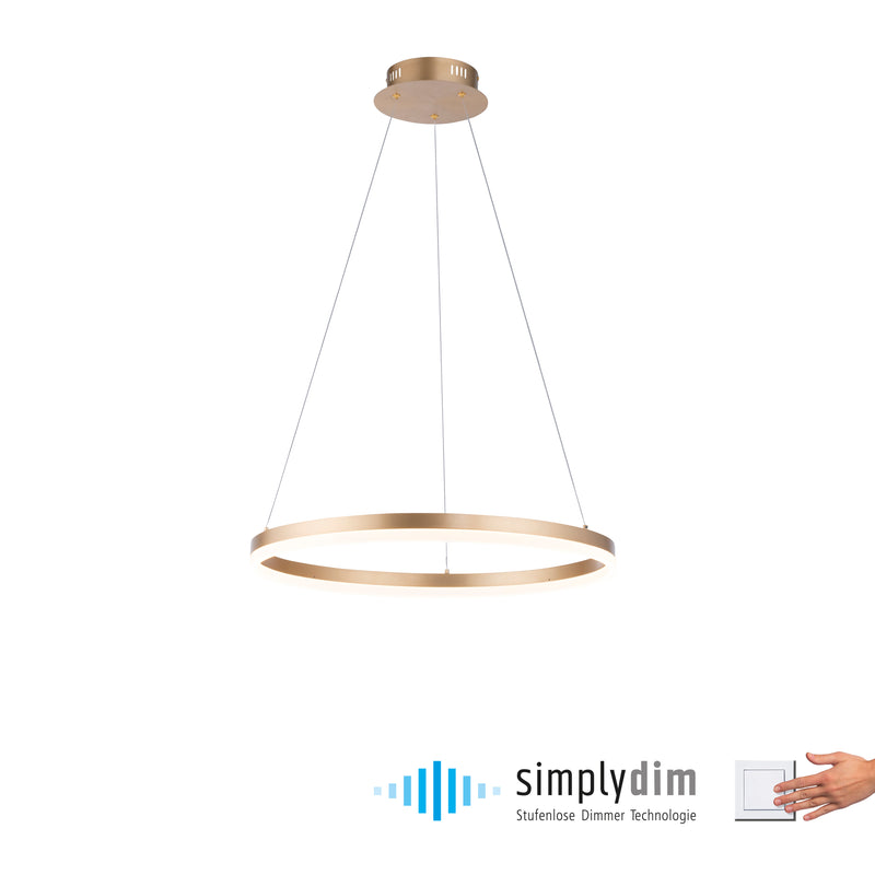 Lustra Paul Neuhaus TITUS LED Alama Mat