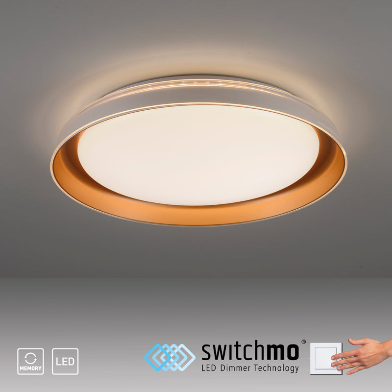 Plafoniera Paul Neuhaus SATI LED Alama Mat