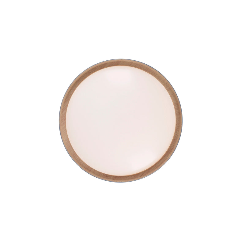 Plafoniera Paul Neuhaus EMILIA LED Gri
