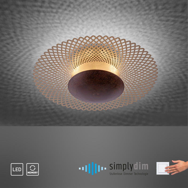 Plafoniera Paul Neuhaus NEVIS LED Rugina