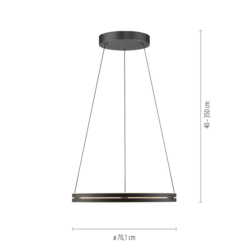 Lustra Paul Neuhaus PURE E-LOOP 2xLED Negru