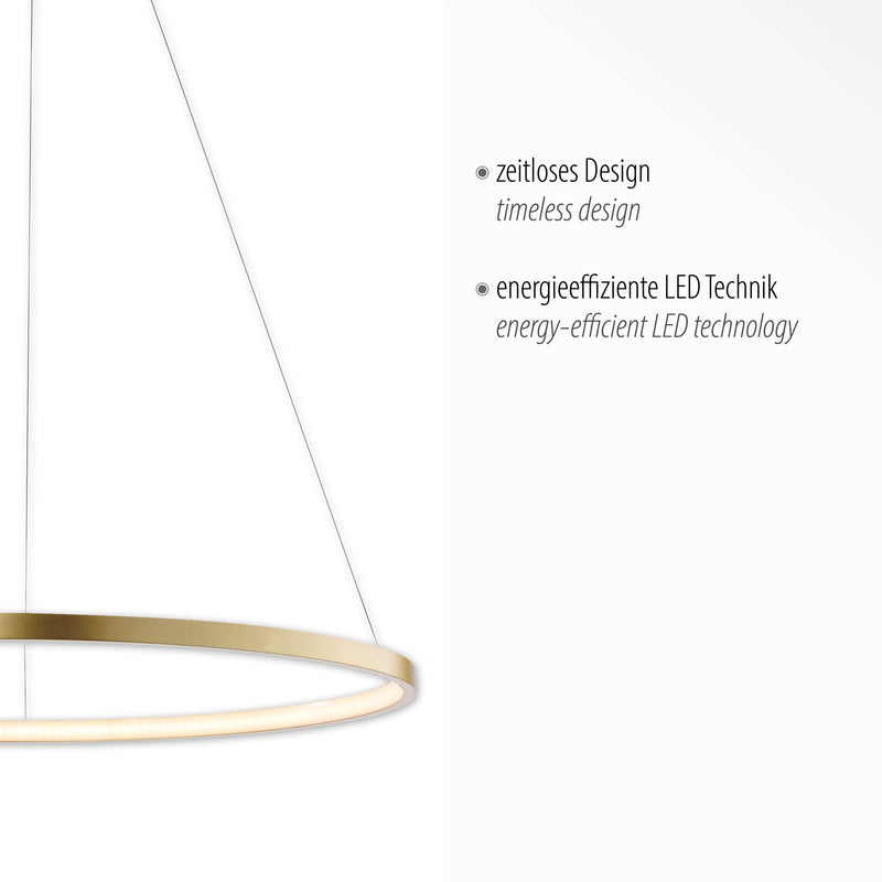 Lustra Paul Neuhaus CIRCLE LED Auriu