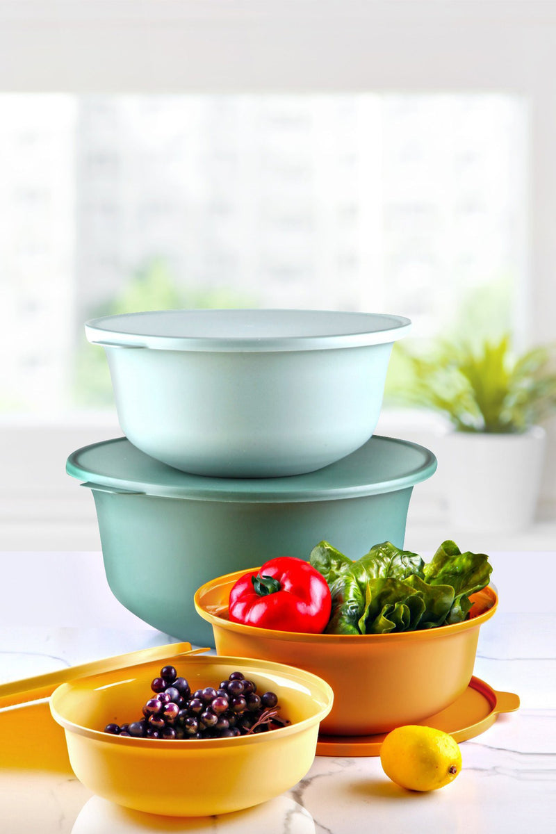 Set Cutii pentru Depozitare (4 Bucati) Asi Home YUVMIX04-1248 Plastic