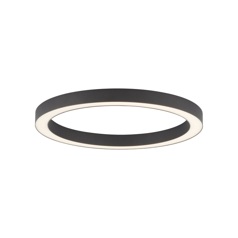 Plafoniera Paul Neuhaus PURE-LINES LED Antracit