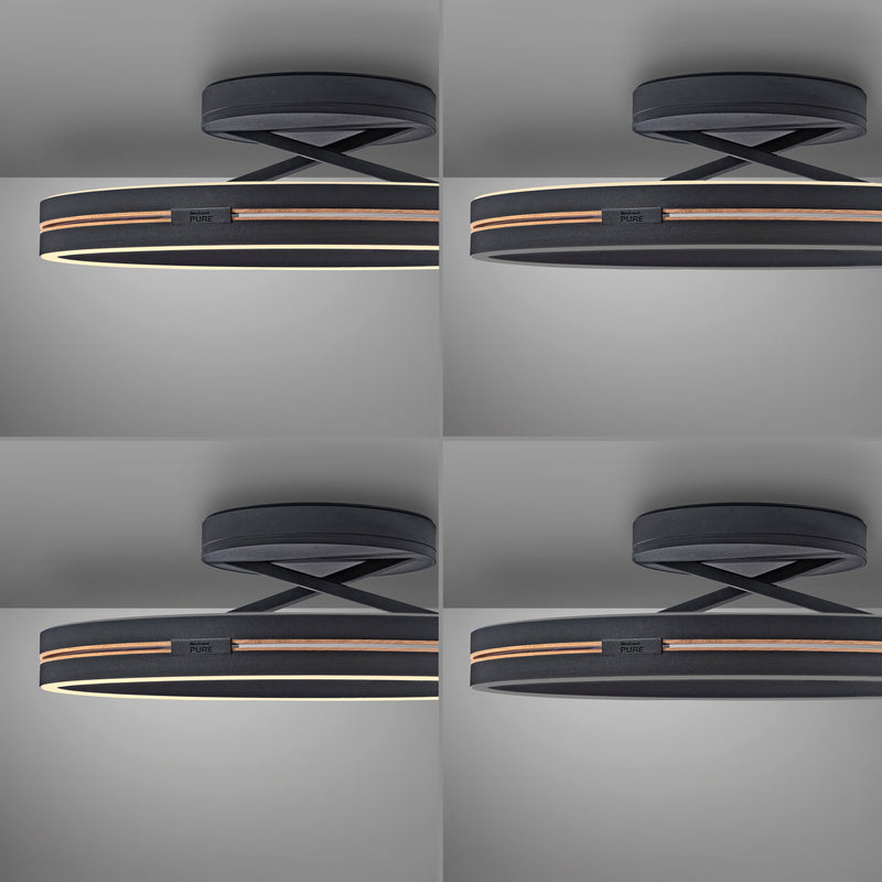 Plafoniera Paul Neuhaus PURE LOOP 2xLED Negru