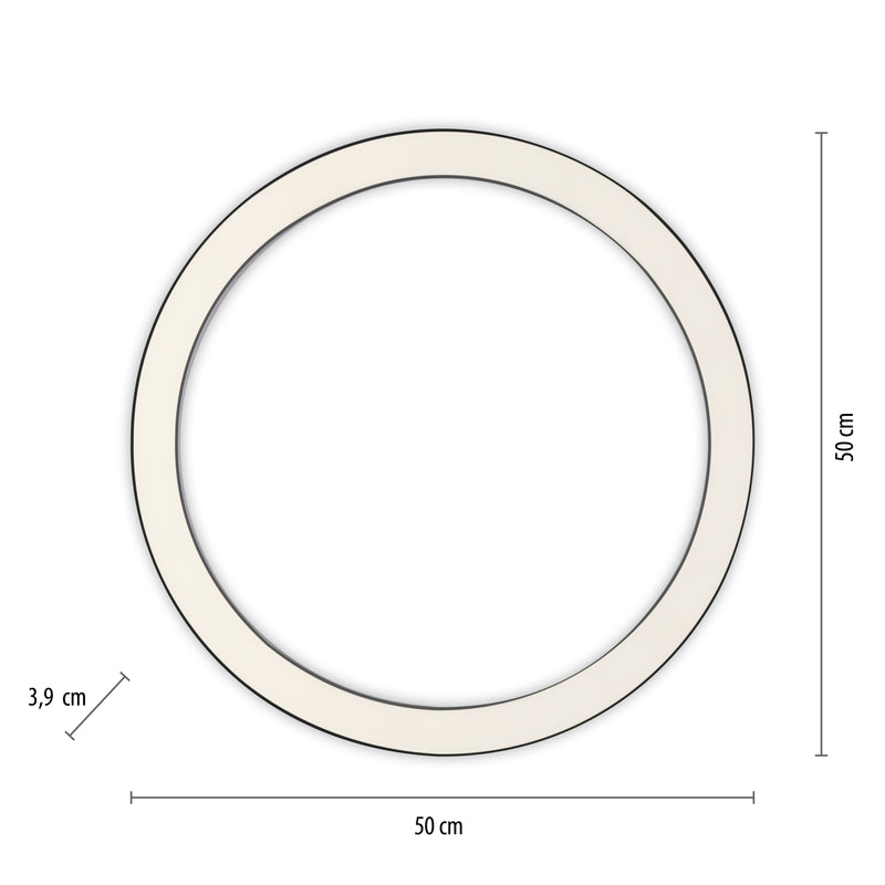 Plafoniera Paul Neuhaus PURE-LINES LED Antracit