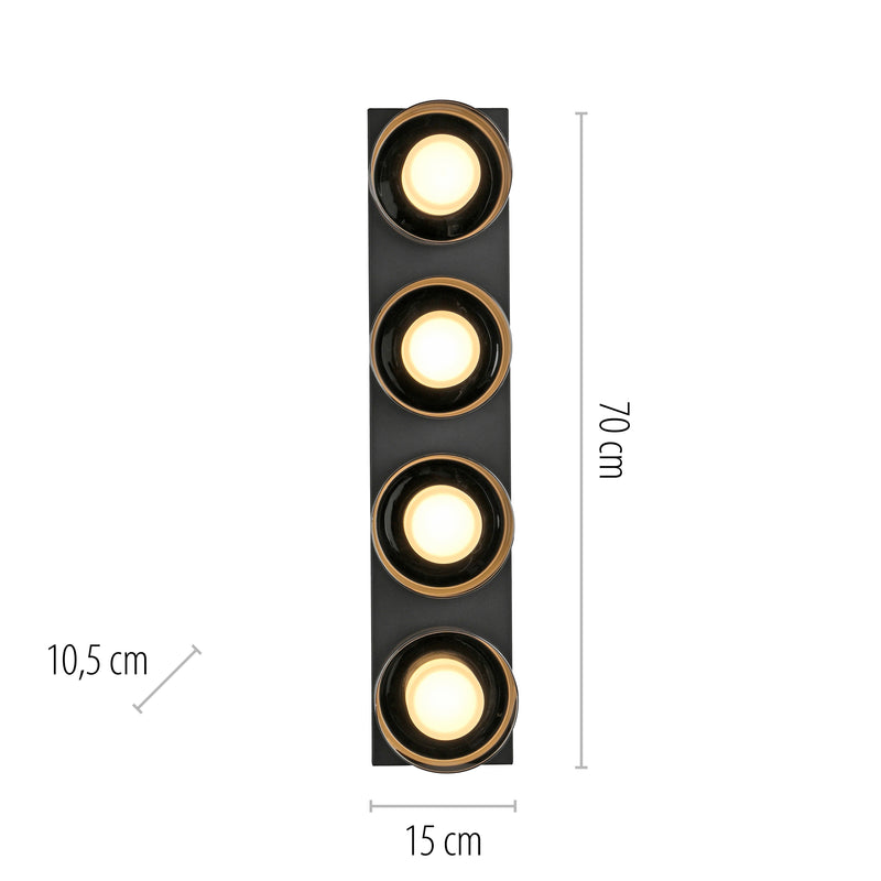 Plafoniera Paul Neuhaus RIKA 4xLED Negru
