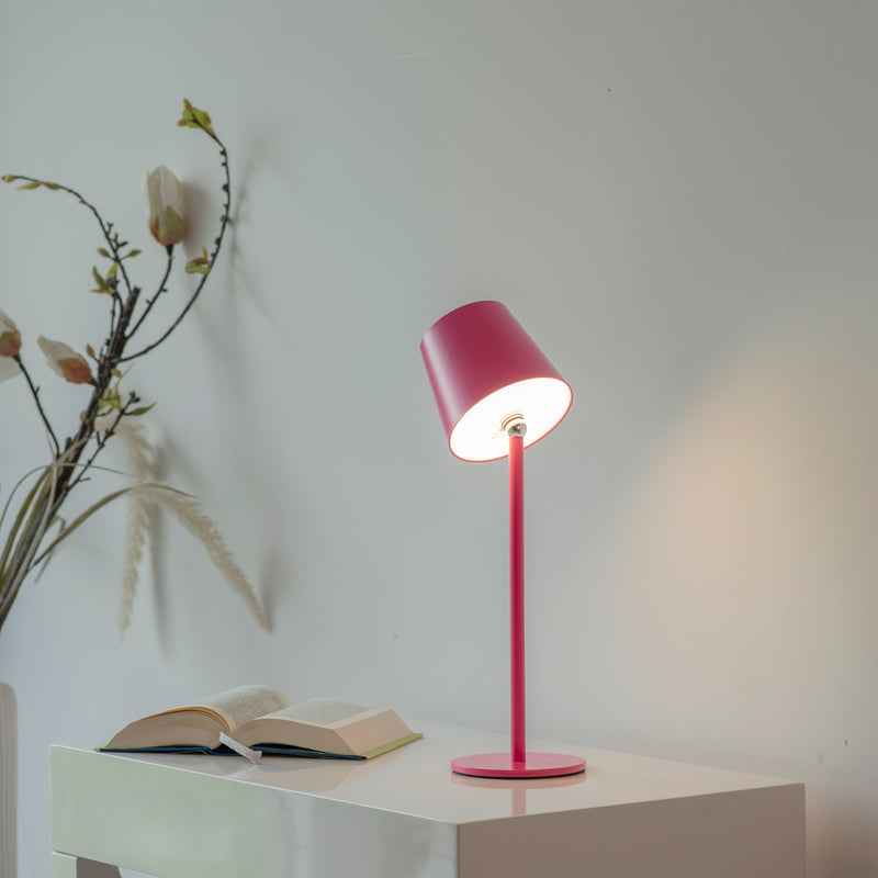Veioza Paul Neuhaus BOTERIA LED Roz