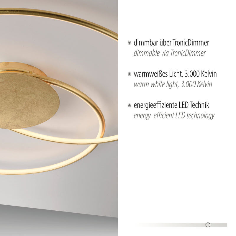 Plafoniera Paul Neuhaus NASTRO LED Auriu