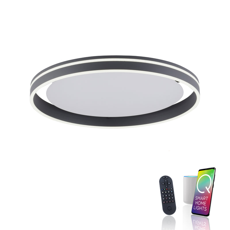 Plafoniera Paul Neuhaus Q-VITO LED Antracit