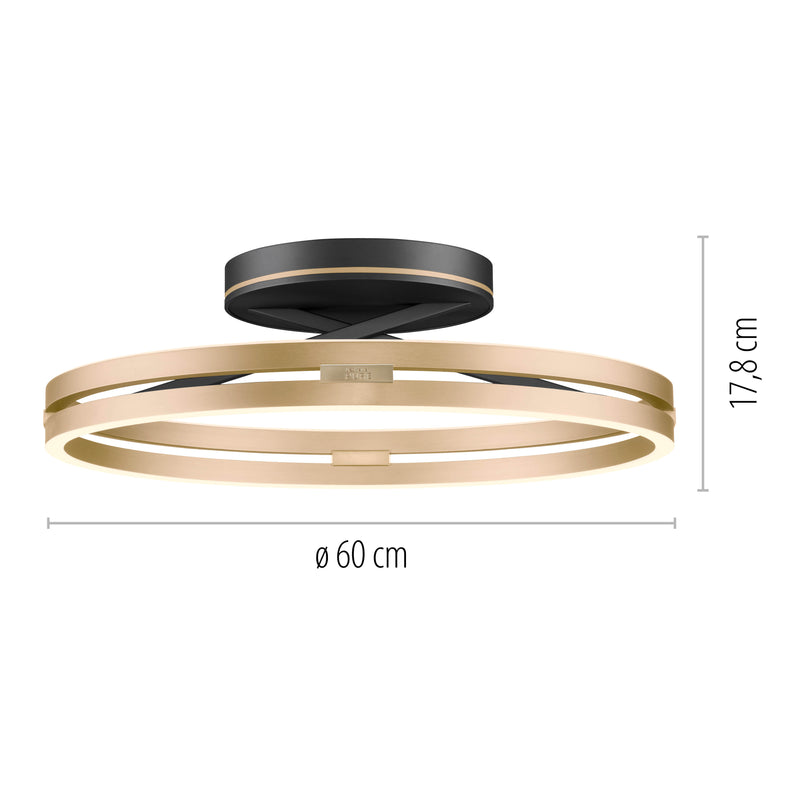 Plafoniera Paul Neuhaus PURE LOOP 2xLED Negru