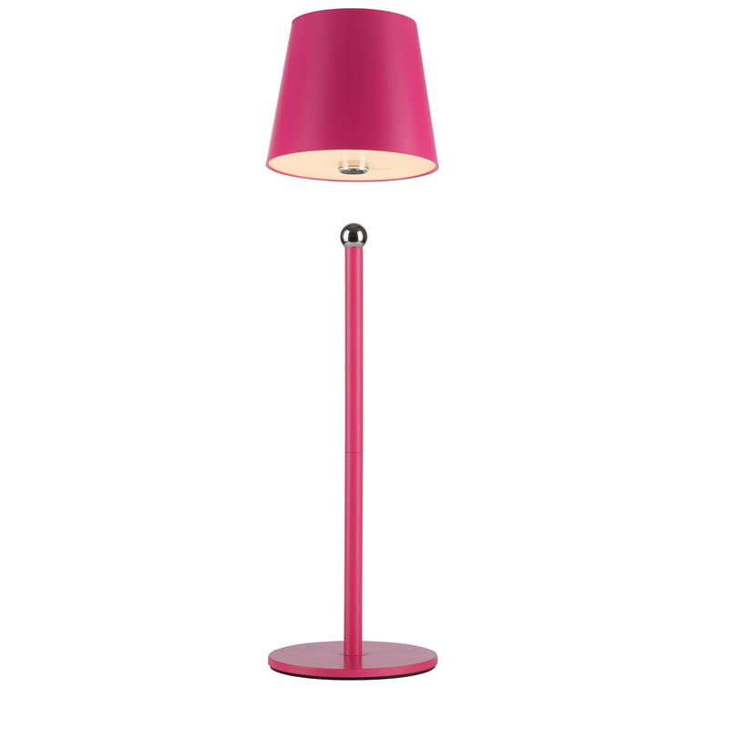Veioza Paul Neuhaus BOTERIA LED Roz