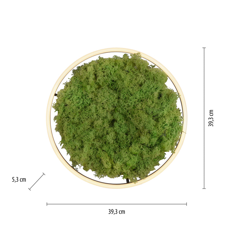 Plafoniera Zuma Line GREEN RITUS LED Muschi Natural