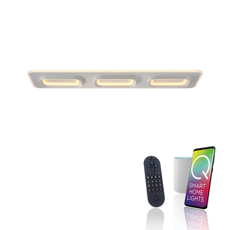 Plafoniera Paul Neuhaus Q-KALINA LED Alb