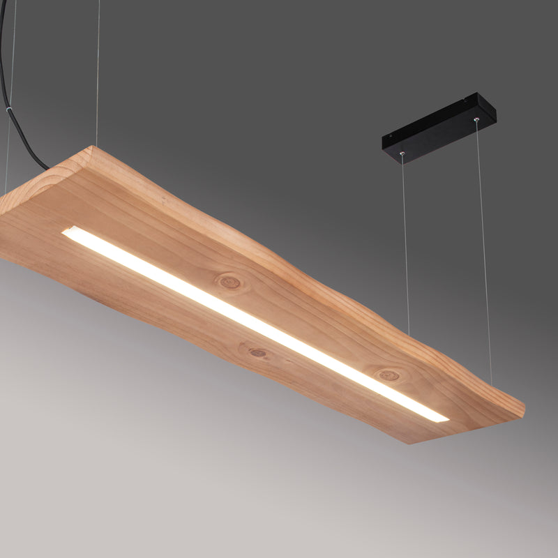 Lustra Paul Neuhaus PALMA LED Negru