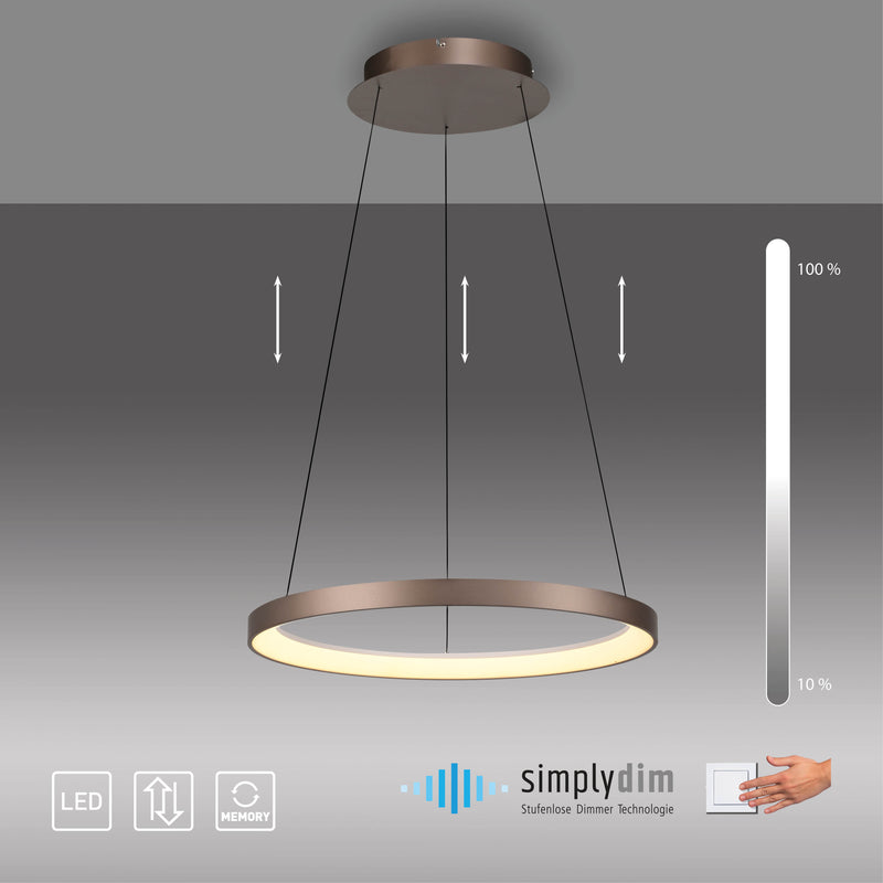 Lustra Paul Neuhaus HOOP LED Cafeniu