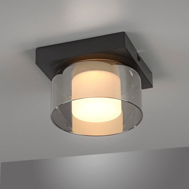 Plafoniera Paul Neuhaus RIKA LED Negru