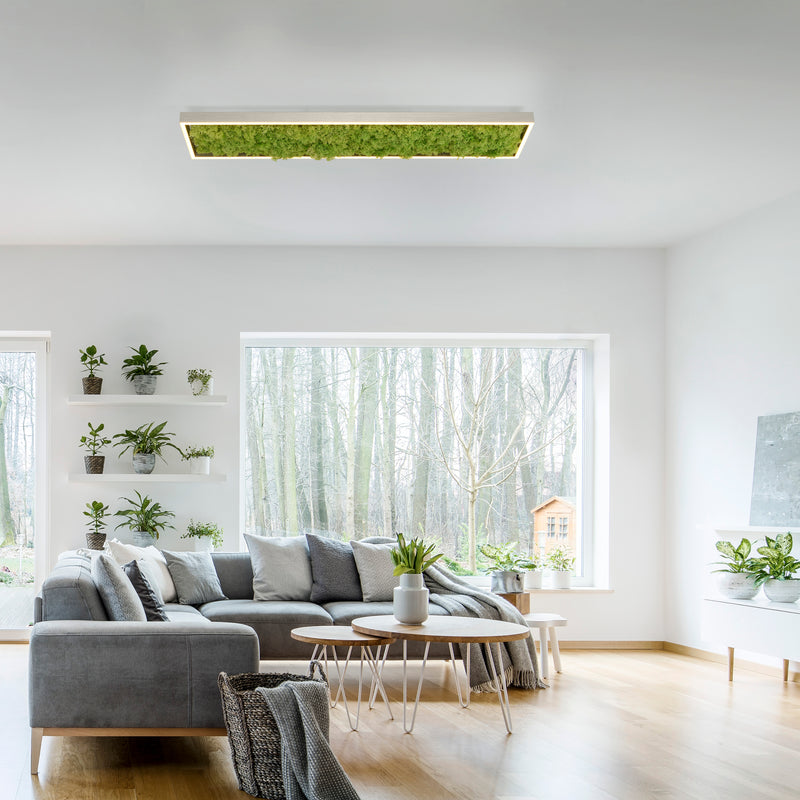 Plafoniera Zuma Line GREEN KNUT LED Muschi Natural