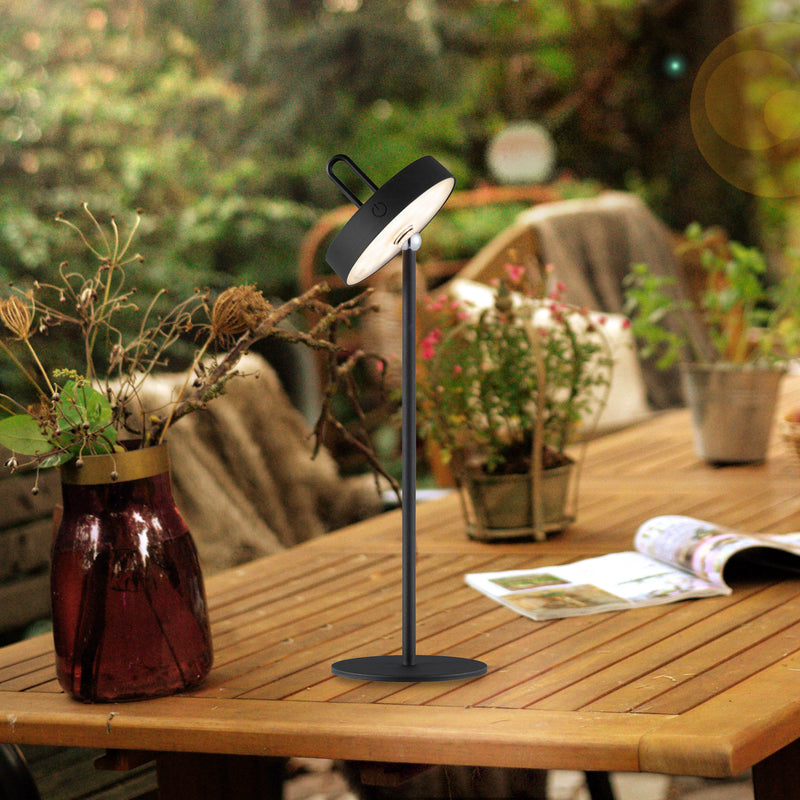 Lampa Exterior Paul Neuhaus AMAG LED Negru