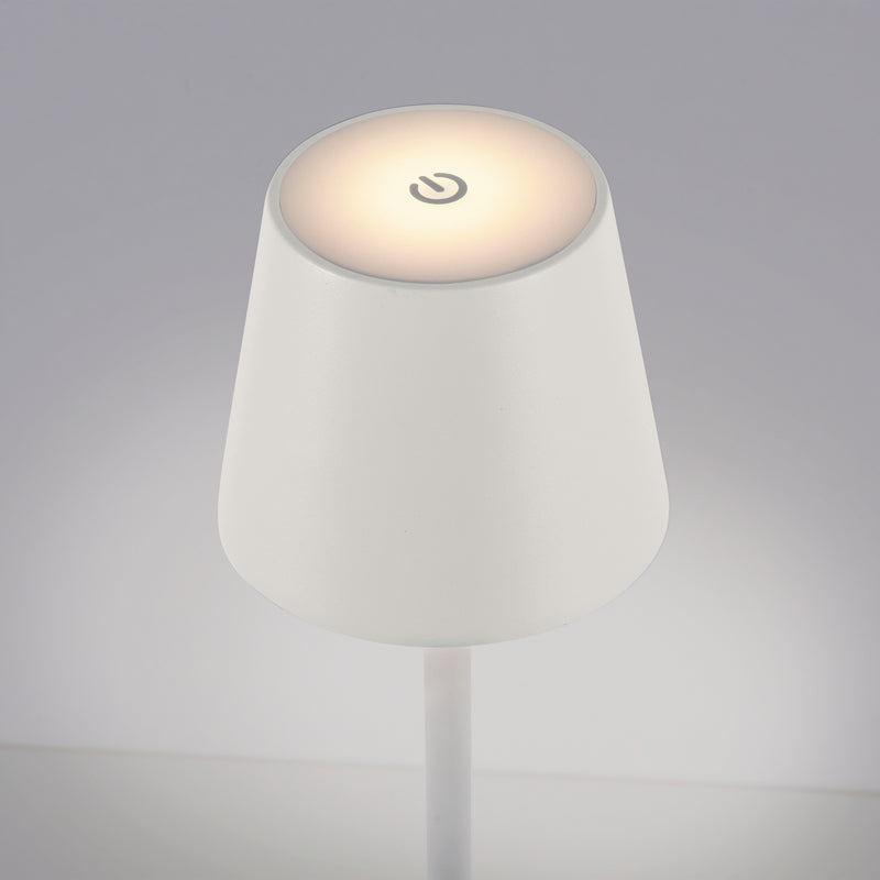 Lampa Exterior Paul Neuhaus EURIA LED Alb