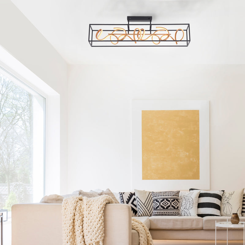 Plafoniera Paul Neuhaus SELINA 4xLED Negru