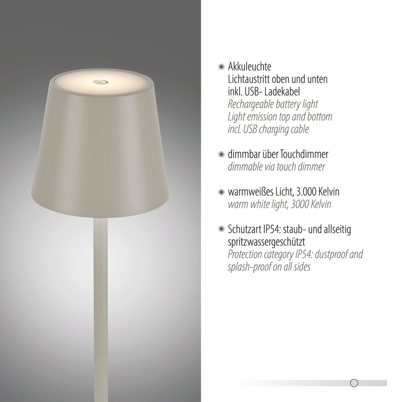 Lampa Exterior Paul Neuhaus EURIA LED Gri