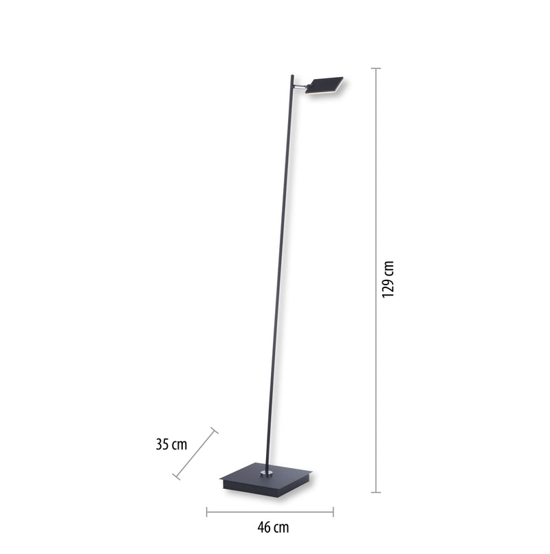 Lampadar Paul Neuhaus PURE-MIRA LED Antracit